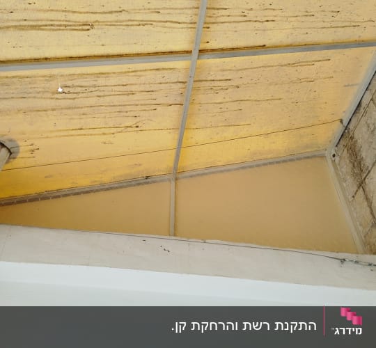רשת למניעת כניסת יונים על תקרה צהובה